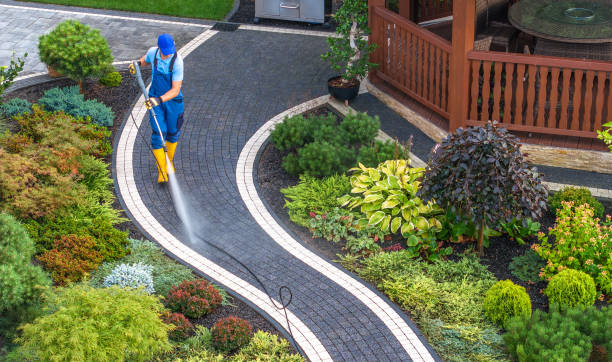 Best House Pressure Washing  in Nanawale Estates, HI